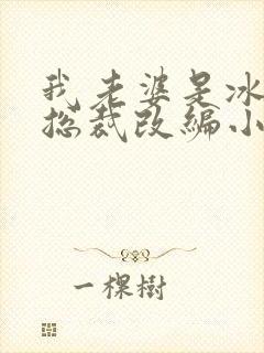 我老婆是冰山女总裁改编小说