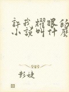 许我耀眼的原著小说叫什么