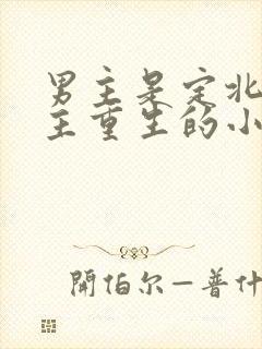 男主是定北侯女主重生的小说