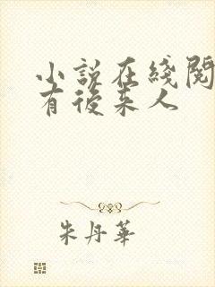 小说在线阅读还有后来人