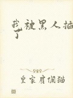 我被黑人插进去了