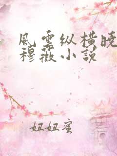 风云纵横晓婉刘穆薇小说