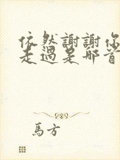 依然谢谢你陪我走过是哪首歌的歌词