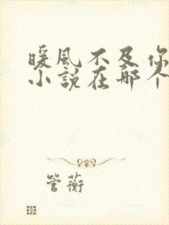 暖风不及你情深小说在哪个app免费阅读