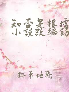 知否是根据什么小说改编的