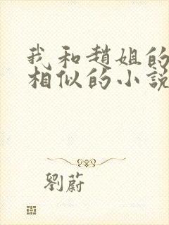 我和赵姐的故事相似的小说