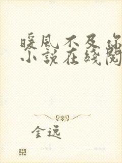 暖风不及你情深小说在线阅读全文