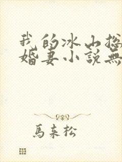 我的冰山总裁未婚妻小说无弹窗