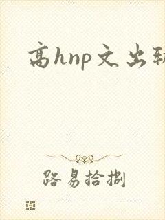 高hnp文出轨