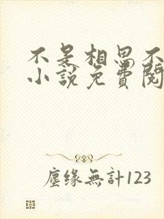 不是相思不落愁小说免费阅读