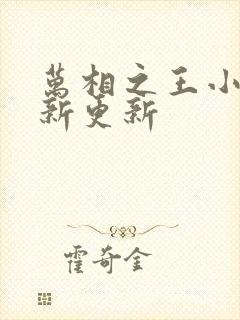 万相之王小说最新更新