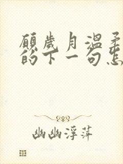 愿岁月温柔以待的下一句怎么接