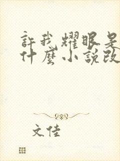 许我耀眼是根据什么小说改编