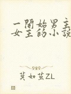 一开始男主想杀女主的小说