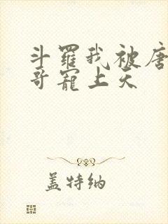 斗罗我被唐三哥哥宠上天