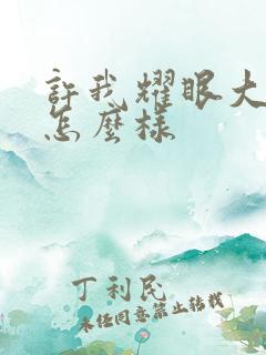 许我耀眼大结局怎么样