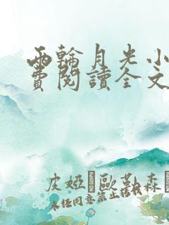 两轮月光小说免费阅读全文无弹窗