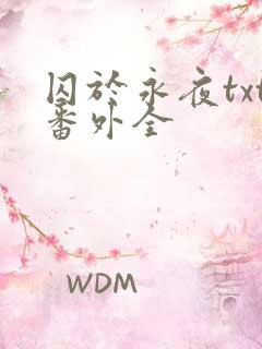 囚于永夜txt番外全
