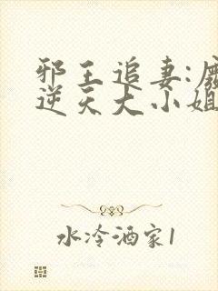 邪王追妻:废材逆天大小姐