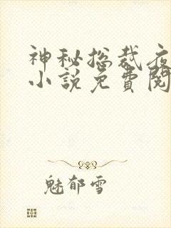 神秘总裁夜夜宠小说免费阅读