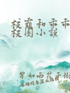 校霸和乖乖女的校园小说