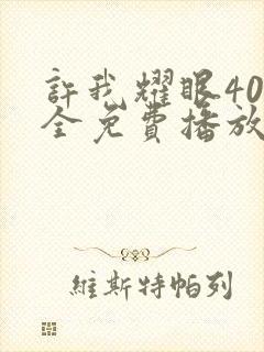 许我耀眼40集全免费播放最新章节小说