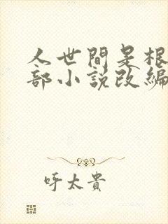 人世间是根据哪部小说改编的