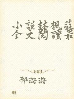 小说林枫苏慕白全文阅读最新章节