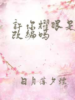 许你耀眼是小说改编吗