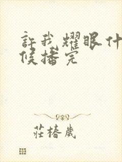 许我耀眼什么时候播完