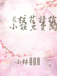 《校花请指教》小说免费阅读