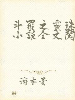 斗罗之灵珠神剑小说全文阅读