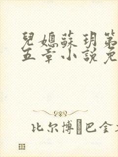 儿媳苏玥第四十五章小说免费阅读