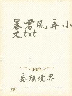 暴君风弄小说全文txt