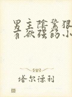 男主阴鸷狠戾占有欲强的小说