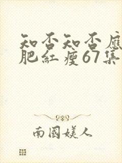 知否知否应是绿肥红瘦67集在线观看