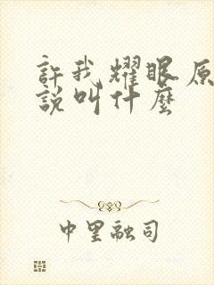 许我耀眼原著小说叫什么