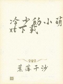 冷少的小萌妻txt下载
