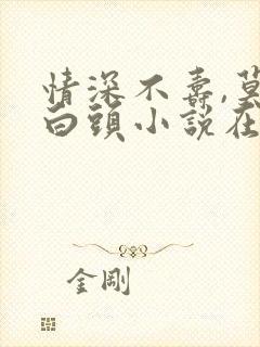 情深不寿,莫许白头小说在线免费阅读