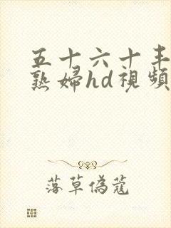 五十六十丰满老熟妇hd视频