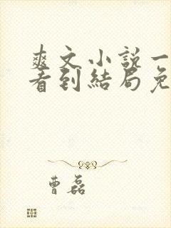 爽文小说一口气看到结局免费