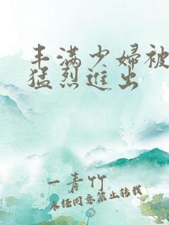 丰满少妇被粗大猛烈进出