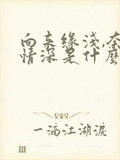 向来缘浅,奈何情深是什么