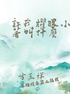 许我耀眼小说原著叫什么