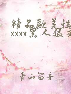 精品欧美性猛交xxxx黑人猛交