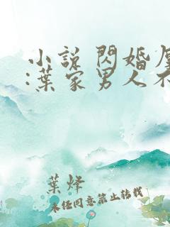 小说 闪婚厚爱:叶家男人不离婚