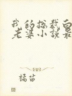 我的总裁白富美老婆小说最新更新