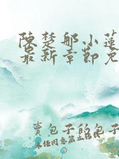 陈楚那小莲小说最新章节免费阅读