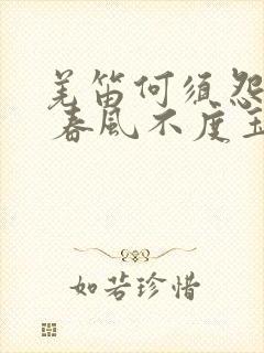 羌笛何须怨杨柳 春风不度玉门关什么意思