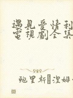 遇见爱情利先生电视剧全集